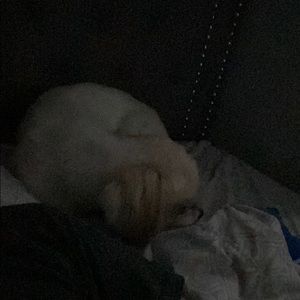 Meet your Posher, Moe